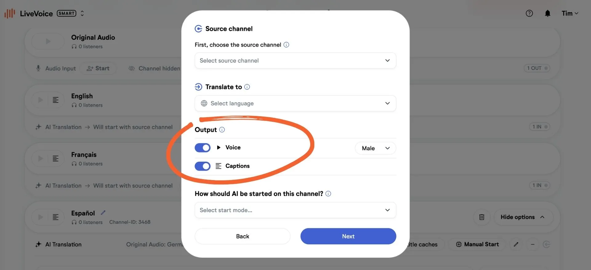AI Translation Output options
