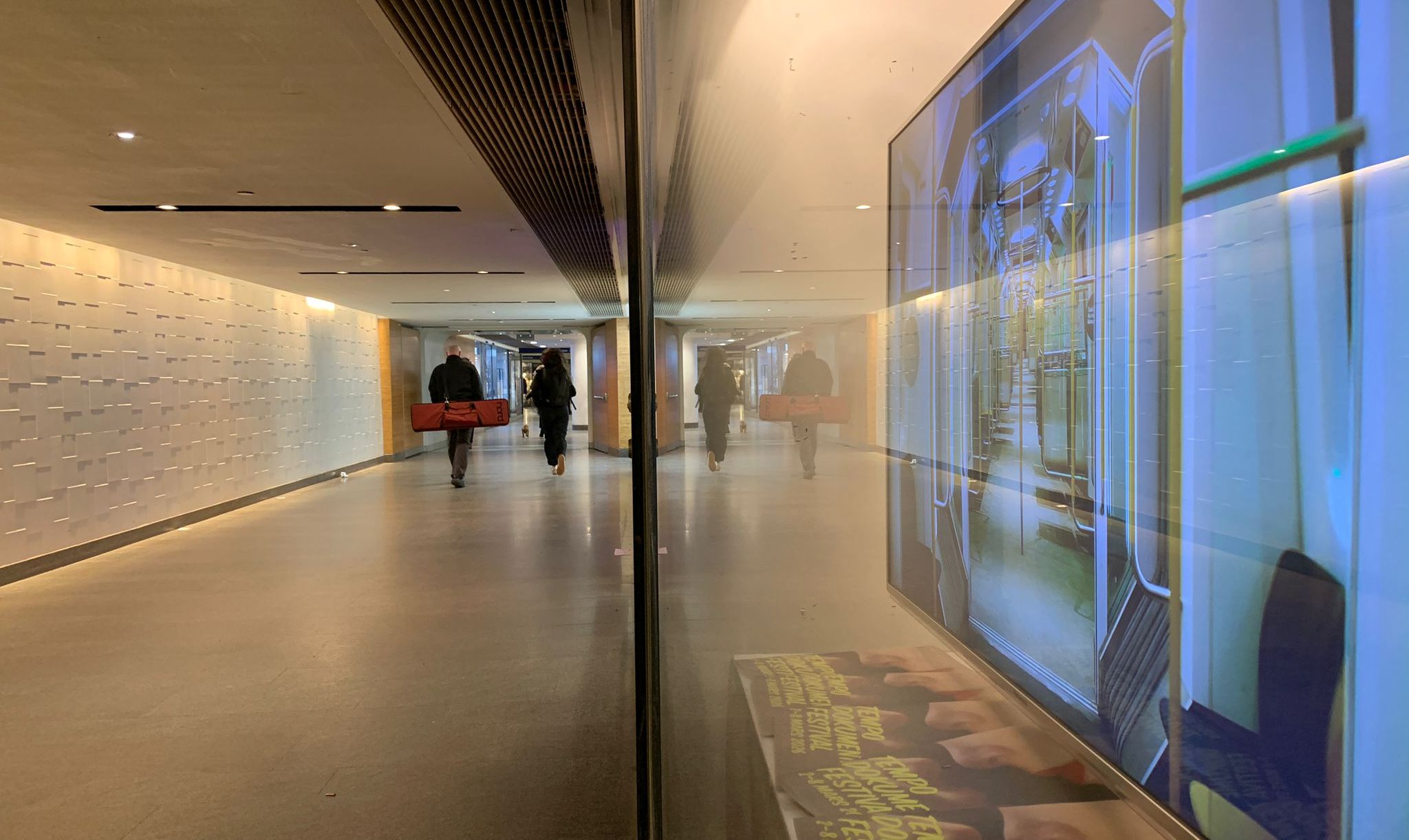 The Screen behind the Glass 